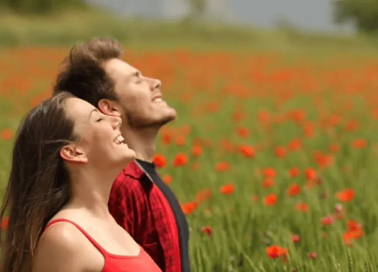 mas-que-seguros_principal