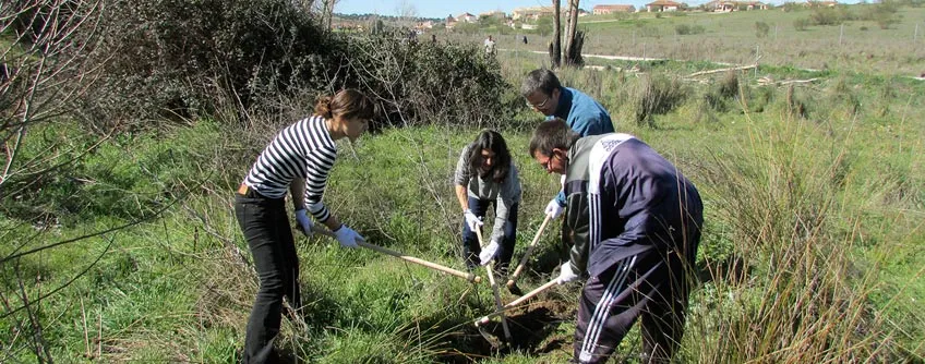 dia-de-reforestacion