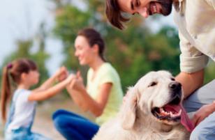 related-products-img32